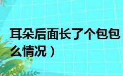 耳朵后面长了个包包（耳朵后面长了个包是什么情况）