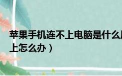 苹果手机连不上电脑是什么原因（苹果助手和苹果手机连不上怎么办）