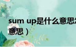 sum up是什么意思怎么读（sum up是什么意思）