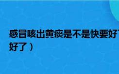 感冒咳出黄痰是不是快要好了呢（感冒咳出黄痰是不是快要好了）