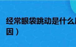 经常眼袋跳动是什么原因（眼袋跳动是什么原因）