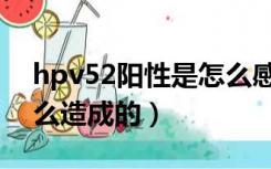 hpv52阳性是怎么感染的（hpv52阳性是怎么造成的）