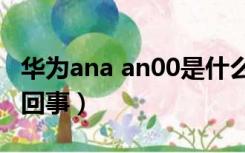 华为ana an00是什么型号（ANA阳性是怎么回事）