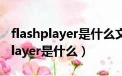 flashplayer是什么文件夹可以删除（flash player是什么）