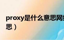 proxy是什么意思网络用语（proxy是什么意思）