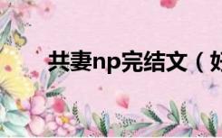 共妻np完结文（好看的共妻文有肉）