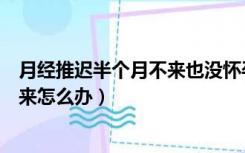 月经推迟半个月不来也没怀孕怎么回事（月经推迟半个月没来怎么办）