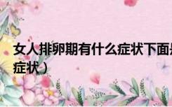 女人排卵期有什么症状下面是怎么图片（女人排卵期有什么症状）