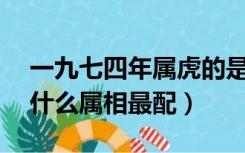 一九七四年属虎的是什么命（86年属虎的和什么属相最配）