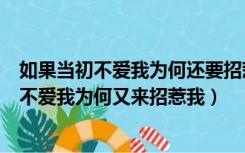 如果当初不爱我为何还要招惹我让我受尽了折磨（如果当初不爱我为何又来招惹我）