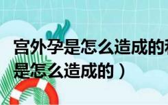 宫外孕是怎么造成的和男性有关系吗（宫外孕是怎么造成的）