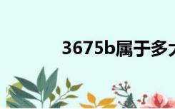 3675b属于多大的胸（3675）