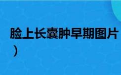 脸上长囊肿早期图片（面部囊肿一定要手术吗）