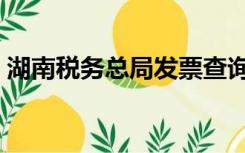 湖南税务总局发票查询（湖南国税发票查询）