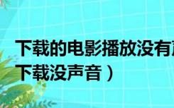 下载的电影播放没有声音（123456hd电影网下载没声音）