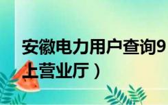 安徽电力用户查询95598（安徽电力公司网上营业厅）