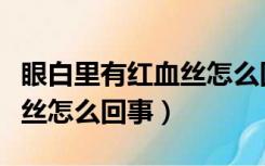 眼白里有红血丝怎么回事图片（眼白里有红血丝怎么回事）