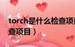 torch是什么检查项目正常（torch是什么检查项目）