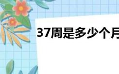 37周是多少个月（37周几个月）