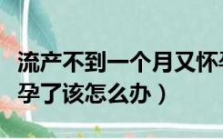 流产不到一个月又怀孕了（人流后一个月又怀孕了该怎么办）