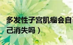 多发性子宫肌瘤会自己消失吗（子宫肌瘤会自己消失吗）