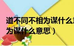 道不同不相为谋什么意思下一句（道不同不相为谋什么意思）