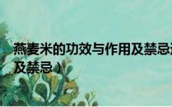 燕麦米的功效与作用及禁忌还有禁忌（燕麦米的功效与作用及禁忌）