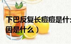 下巴反复长痘痘是什么原因（眉间长痘痘的原因是什么）