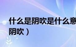 什么是阴吹是什么意思 有什么症状（什么是阴吹）