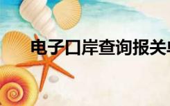 电子口岸查询报关单（电子报关口岸）