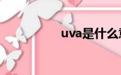 uva是什么意思（uva）