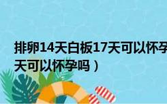 排卵14天白板17天可以怀孕吗有影响吗（排卵14天白板17天可以怀孕吗）