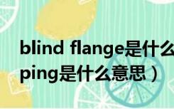 blind flange是什么意思（blind dropshipping是什么意思）