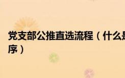 党支部公推直选流程（什么是公推直选 公推直选又有哪些程序）