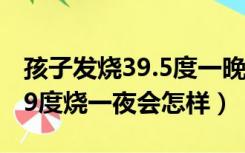 孩子发烧39.5度一晚上会烧坏吗（孩子发烧39度烧一夜会怎样）