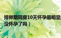 排卵期同房10天怀孕最明显的征兆（排卵后九天早早孕白板没怀孕了吗）