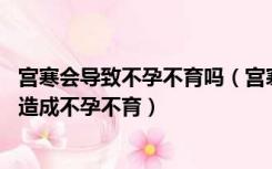 宫寒会导致不孕不育吗（宫寒会引起不孕不育吗 宫寒会不会造成不孕不育）