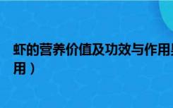 虾的营养价值及功效与作用男性（虾的营养价值及功效与作用）