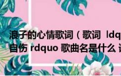 浪子的心情歌词（歌词  ldquo 走在彷徨的路上 我的心情暗自伤 rdquo 歌曲名是什么 谁唱的呢 _）