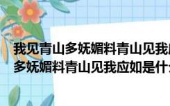 我见青山多妩媚料青山见我应如是下一句怎么接（我见青山多妩媚料青山见我应如是什么意思）