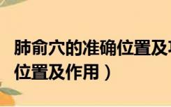 肺俞穴的准确位置及功效作用（肺俞穴的准确位置及作用）