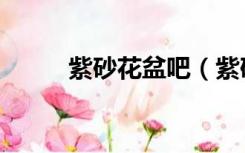 紫砂花盆吧（紫砂花盆批发市场）