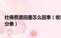 社保费退回是怎么回事（收到社保费率调整退款如何做会计分录）