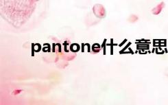 pantone什么意思（pantone 877c）