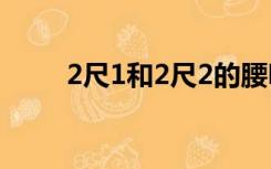 2尺1和2尺2的腰明显大吗（2尺1）