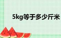 5kg等于多少斤米（5kg等于多少斤）