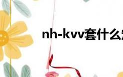 nh-kvv套什么定额（nh kvv）