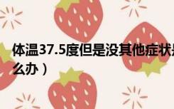 体温37.5度但是没其他症状是怎么回事（小孩体温37.5度怎么办）