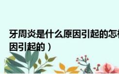 牙周炎是什么原因引起的怎样防治（单纯性牙周炎是什么原因引起的）