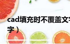 cad填充时不覆盖文字（cad图案填充避开文字）